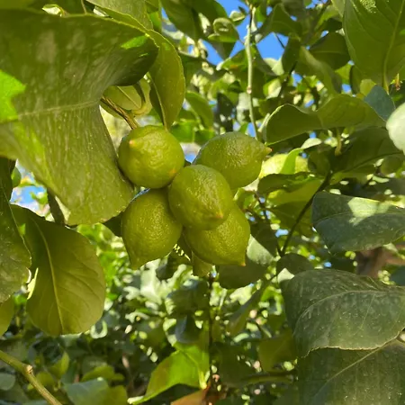 Διαμέρισμα Antico Borgo - A Due Passi Dalle Gole Alcantara