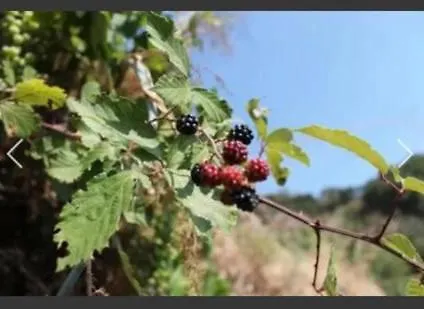 Antico Borgo - A Due Passi Dalle Gole Alcantara *