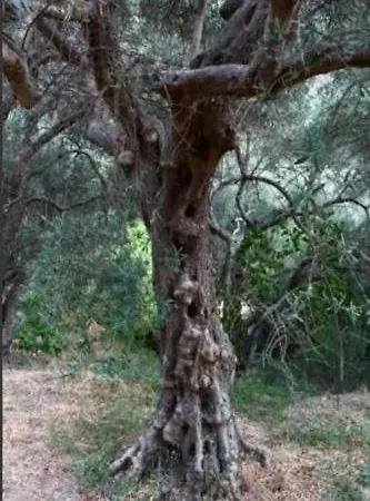 Antico Borgo - A Due Passi Dalle Gole Alcantara Lejlighed